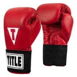 TITLE Boxing Masters USA Boxing Competition Gloves - Elastic -Top Boxing Store MACGES RD 02