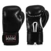 TITLE Boxing Old School Leather Bag Gloves 2.0