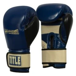 TITLE Boxing Rock Steady Leather Training Gloves -Top Boxing Store RSBVLTTG BL TN 2