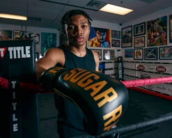 TITLE Boxing Sugar Ray Leonard Leather Bag Gloves 21 TITLE Boxing Sugar Ray Leonard Leather Bag Gloves -Top Boxing Store SRLBG 2 1