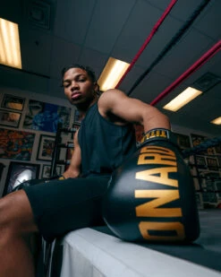 TITLE Boxing Sugar Ray Leonard Leather Bag Gloves 20 TITLE Boxing Sugar Ray Leonard Leather Bag Gloves -Top Boxing Store SRLBG 2 2