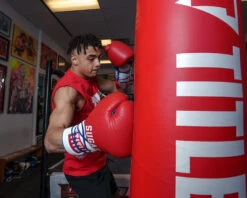 TITLE Boxing Sugar Ray Leonard Signature Leather Sparring Gloves -Top Boxing Store SRLSLSG 4 3