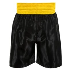 TITLE Boxing Edge Boxing Trunks 2.0 -Top Boxing Store TBTC2 BK GD 3