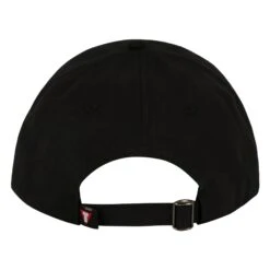 TITLE Boxing Dad Hat Adjustable Cap -Top Boxing Store TCAP77 BK 4