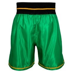 WBC By TITLE Boxing Professional Boxing Trunks -Top Boxing Store WBCBT GN BK 3