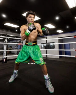 WBC By TITLE Boxing Professional Boxing Trunks -Top Boxing Store WBCBTGN