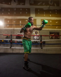 WBC By TITLE Boxing Professional Boxing Trunks -Top Boxing Store WBCBTGRBK 2