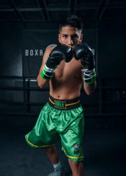 WBC By TITLE Boxing Professional Boxing Trunks -Top Boxing Store WBCBTGR 3