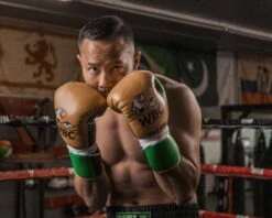 WBC By TITLE Boxing Jose Sulaiman Leather Gloves -Top Boxing Store WBCJPFG