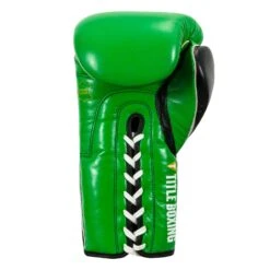 WBC By TITLE Boxing Sparring Gloves -Top Boxing Store WBCSG GN BK 04