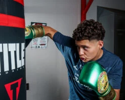 WBC By TITLE Boxing Green Belt Bag Gloves 19 WBC By TITLE Boxing Green Belt Bag Gloves -Top Boxing Store WGBBGGNGD 1