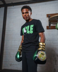 WBC By TITLE Boxing Green Belt Sparring Gloves -Top Boxing Store WGBSGBKGD 2