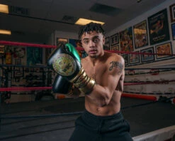 WBC By TITLE Boxing Green Belt Sparring Gloves -Top Boxing Store WGBSGBKGN 1