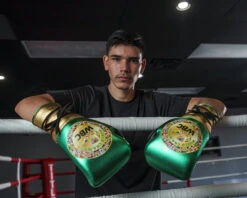 WBC By TITLE Boxing Green Belt Sparring Gloves -Top Boxing Store WGBSGGDGNBK 2