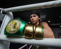 WBC By TITLE Boxing Green Belt Sparring Gloves -Top Boxing Store WGBSGGNBK 2