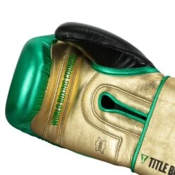 WBC By TITLE Boxing Green Belt Training Gloves 1.0 -Top Boxing Store WGBTG GN GD BK 5