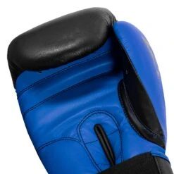 TITLE Boxing Dynamic Strike Heavy Bag Gloves -Top Boxing Store XDBG BK BL 005