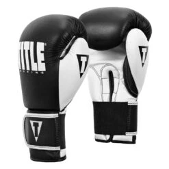 TITLE Boxing Dynamic Strike Heavy Bag Gloves -Top Boxing Store XDBG BK WH 002
