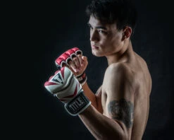 TITLE MMA Command Pro Fight Gloves -Top Boxing Store XMCPFG RD