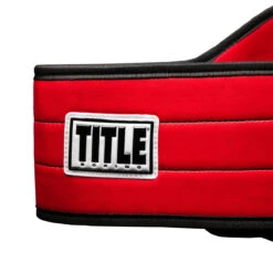 TITLE Boxing World Boxing Champion Title Belt 16 TITLE Boxing World Boxing Champion Title Belt -Top Boxing Store cltb20 rd 3
