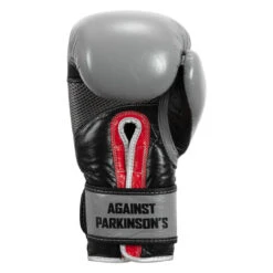 TITLE Boxing Fight Back Leather Boxing Gloves -Top Boxing Store fbbgl gr 04