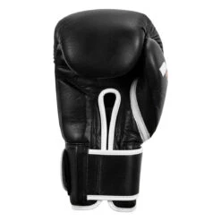 Fighting Fury Professional Training Gloves -Top Boxing Store fsftge bk 04