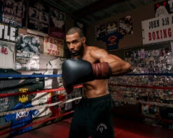 TITLE Boxing Honorary Sparring Gloves -Top Boxing Store gossg bk bnl 3 1 1