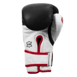 TITLE Boxing Gel World Bag Gloves -Top Boxing Store gtwbg bk wh 0004