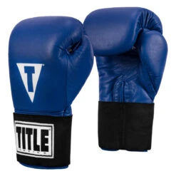TITLE Boxing Masters USA Boxing Competition Gloves - Elastic -Top Boxing Store macges bl 02