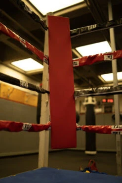 TITLE Boxing Blank Pro Corner Cushion V3.0 - Single -Top Boxing Store osccb blank red 3