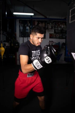 Pro Mex Professional Bag Gloves V3.0 -Top Boxing Store pmhbg3 bk 2