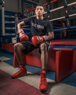 Pro Mex Professional Lace Sparring Gloves V3.0 -Top Boxing Store pmtgl3 rd 1 3