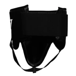 TITLE Boxing Professional No-Foul Protector 2.0 -Top Boxing Store pnfv2 4