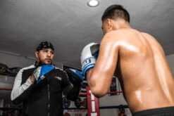 TITLE Platinum Perilous Micro Palm Mitts -Top Boxing Store ppsmpm 1