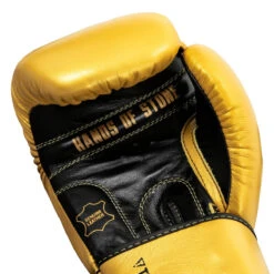 TITLE Boxing Roberto Duran Leather Training Gloves -Top Boxing Store rdtg gd bk 05