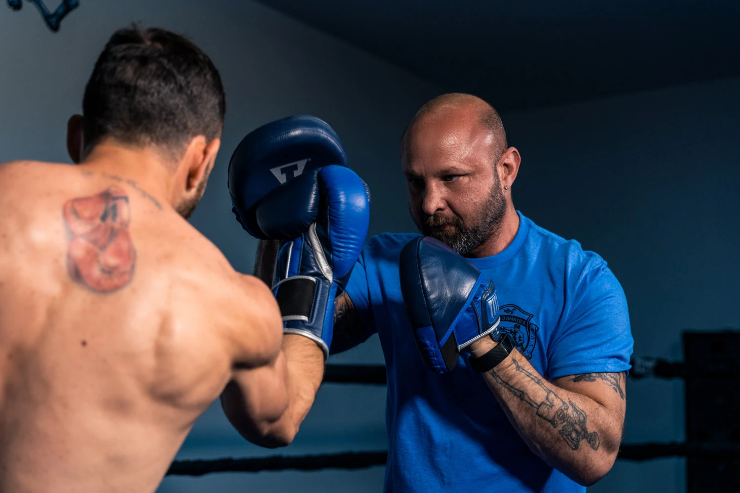 TITLE Boxing Royalty Leather Micro Punch Mitts 6 TITLE Boxing Royalty Leather Micro Punch Mitts - Image 6