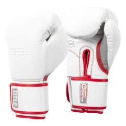 TITLE Boxing Gel Special Edition Bag Gloves -Top Boxing Store setgbg sv wh rd 02