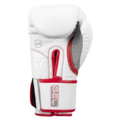 TITLE Boxing Gel Special Edition Bag Gloves -Top Boxing Store setgbg sv wh rd 04