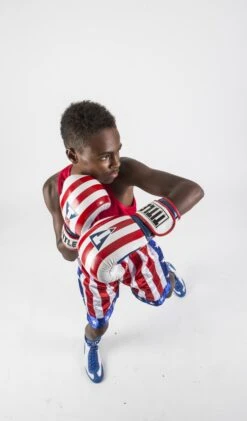 TITLE Boxing Infused Foam Combat USA Training Gloves -Top Boxing Store studio 2017 07 27 999 198