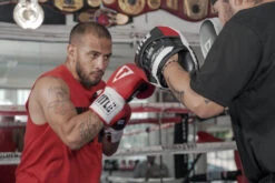 TITLE Boxing Aerovent Excel Incredi-Mitts 2.0 -Top Boxing Store taepm2