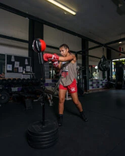 TITLE Boxing Deluxe King Cobra Reflex Bag With Anchor Bags -Top Boxing Store tfsrb2