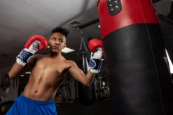 TITLE Boxing USA Leather Bag Gloves 13 TITLE Boxing USA Leather Bag Gloves -Top Boxing Store usabg replace the current