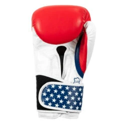 TITLE Boxing USA Leather Bag Gloves 11 TITLE Boxing USA Leather Bag Gloves -Top Boxing Store usabg 04
