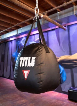 TITLE Boxing Wrecking Ball Heavy Bag -Top Boxing Store wrbhb 2