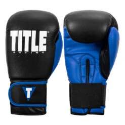 TITLE Boxing Dynamic Strike Heavy Bag Gloves -Top Boxing Store xdbg bk bl 001