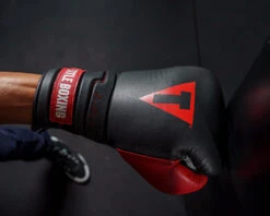 TITLE Boxing Z-FLY Bag Gloves -Top Boxing Store zflybg bk rd 6 1